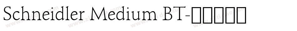 Schneidler Medium BT字体转换